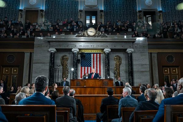 Around half of Democrats skip Trump State of the Union