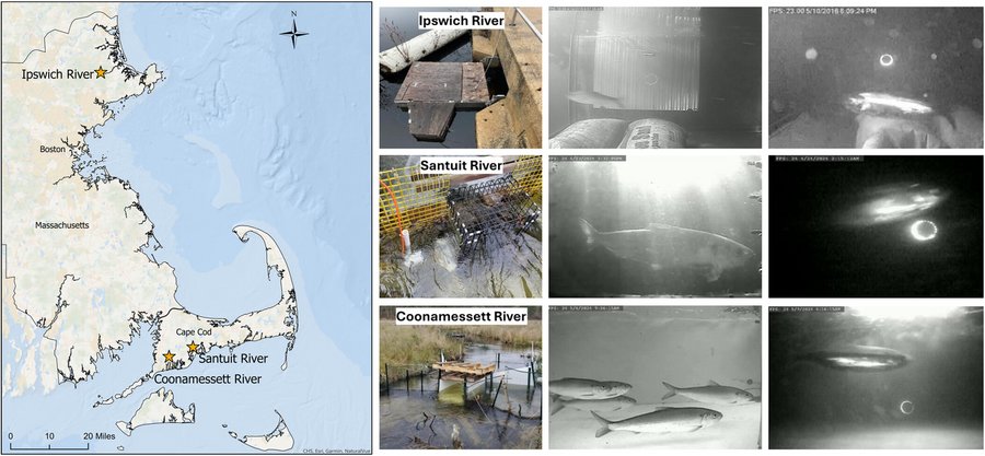 A map of the Massachusetts coast with three rivers marked. Three photos from each river appear to the right of the map.