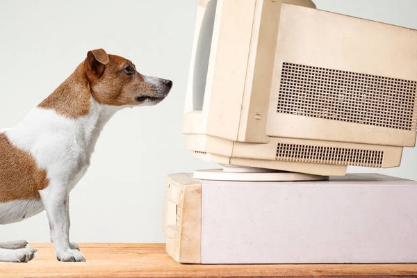 AWS WorkSpaces Now Supports AI Agent Control: Performance Analysis and Cost Implications