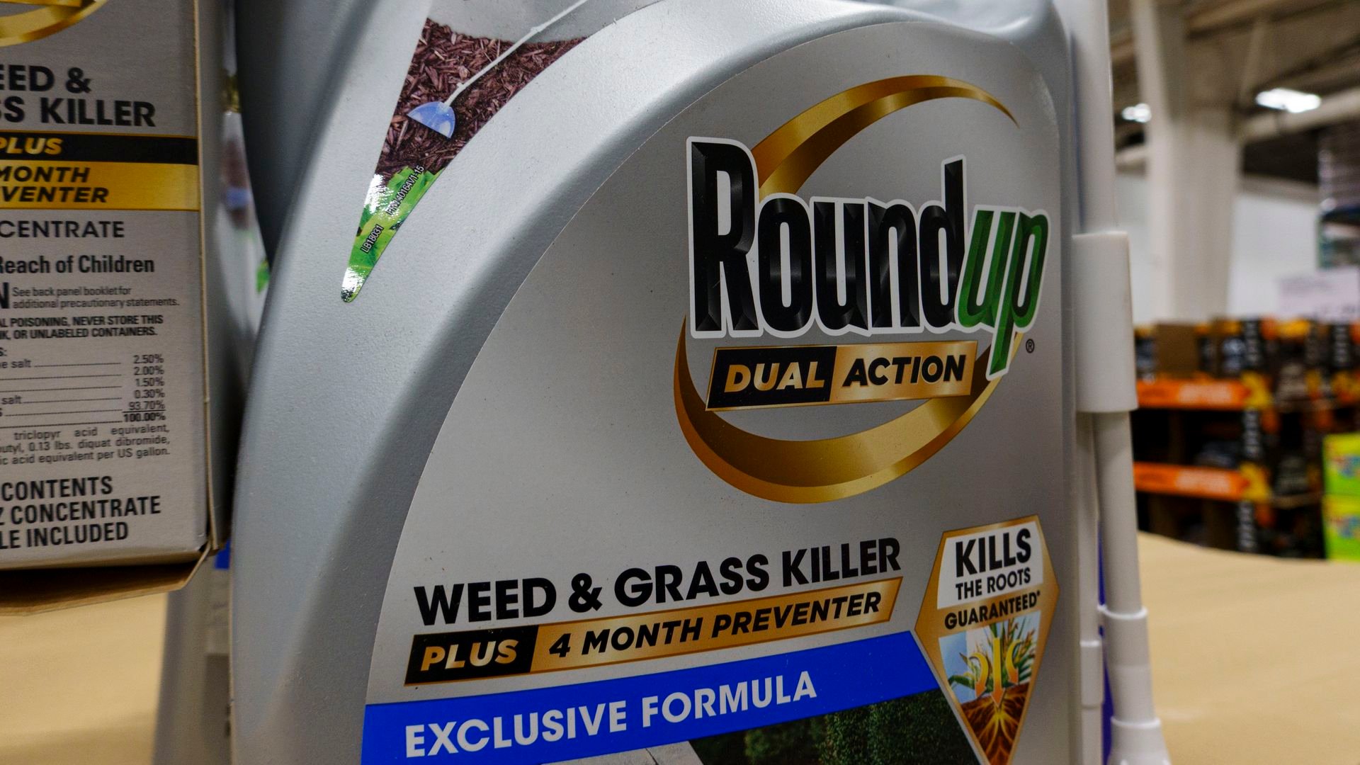 Close-up of a silver Roundup Dual Action weed and grass killer container with yellow and blue labels stating it kills roots, prevents weeds for 4 months, and shields desirable plants.