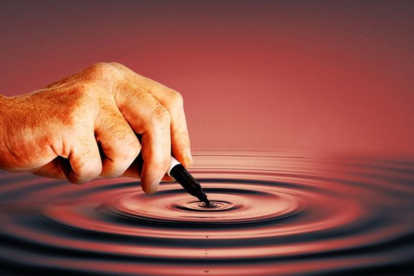 Trump's Power Play: Inside the Political Maneuvering