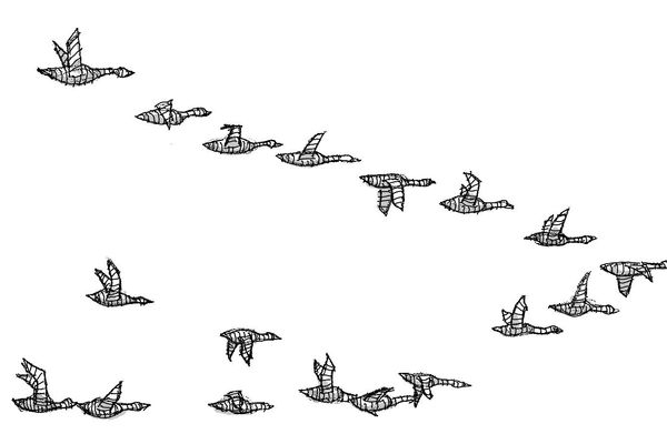 Beyond Cache Invalidation: Why Software Migrations Are the Ultimate Career Accelerator