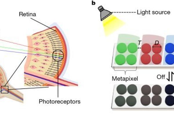 Beyond Retina Resolution: Metamaterial Magic Powers 25,000 PPI Electronic Paper
