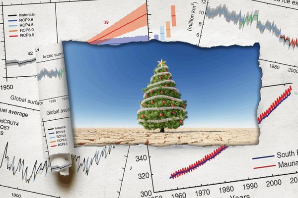 Beyond the Hockey Stick: How Binary Data Visualizations Make Climate Change Tangible