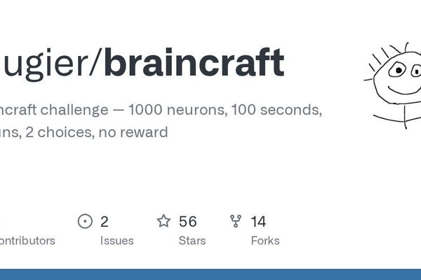 BrainCraft Challenge: Building a Functional Mini-Brain for Embodied AI
