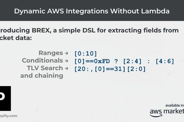 BREX: The Domain-Specific Language for Mastering Binary Data Extraction