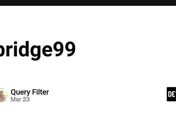 bridge99 - DEV Community