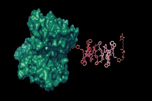 MIT engineers unveil liposomal nanoparticle reporters that amplify MRI signals for molecular imaging