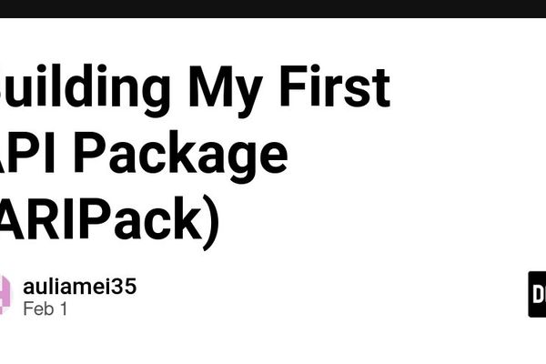 Building ARIPack: A Beginner's Journey into API Response Standardization