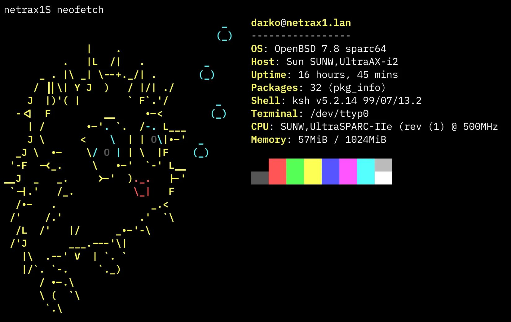 Can my SPARC server host a website?
