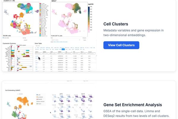 Taking Agency in Cancer Treatment: Sytse's Journey with Osteosarcoma