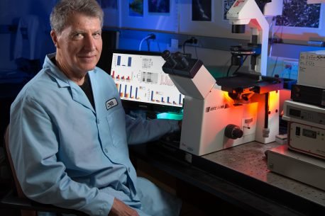 Salk Institute Study Finds THC Reduces Alzheimer's-Related Proteins in Brain Cells