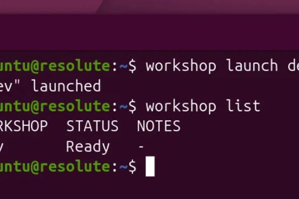 Canonical Workshop Arrives: Snap‑Based Dev Environments Put LXD on the Bench
