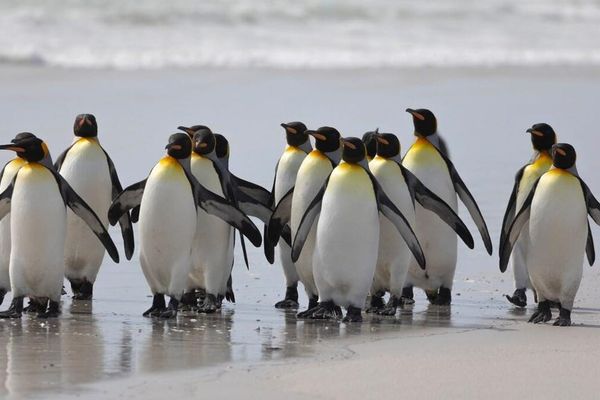 Canonical Reshapes Java Landscape with 12-Year OpenJDK Support and Ultra-Efficient Containers