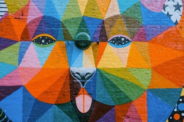 Canva, Affinity, and the Quiet Revolt Against Adobe’s Creative Cloud Tax