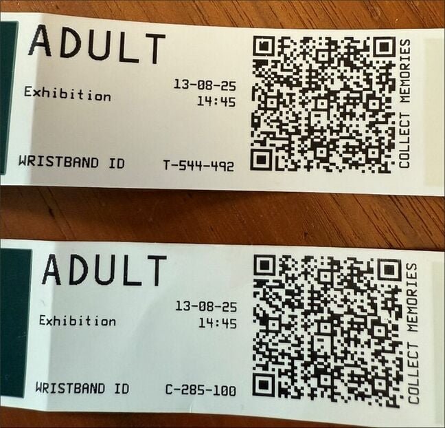 The Carlsberg Experience wristbands (Ken Munro/Pen Test Partners)