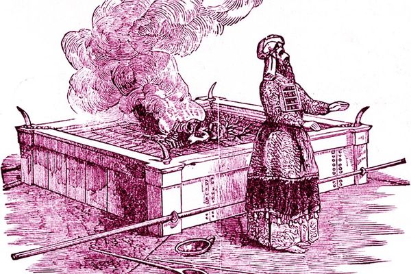 The Ritual of Technical Scapegoating: How Organizations Destroy Working Systems Under the Guise of Progress