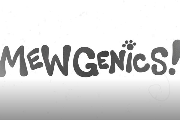 Cat-themed Roguelite Mewgenics explodes onto Steam with 65,000 peak players and 10% launch discount