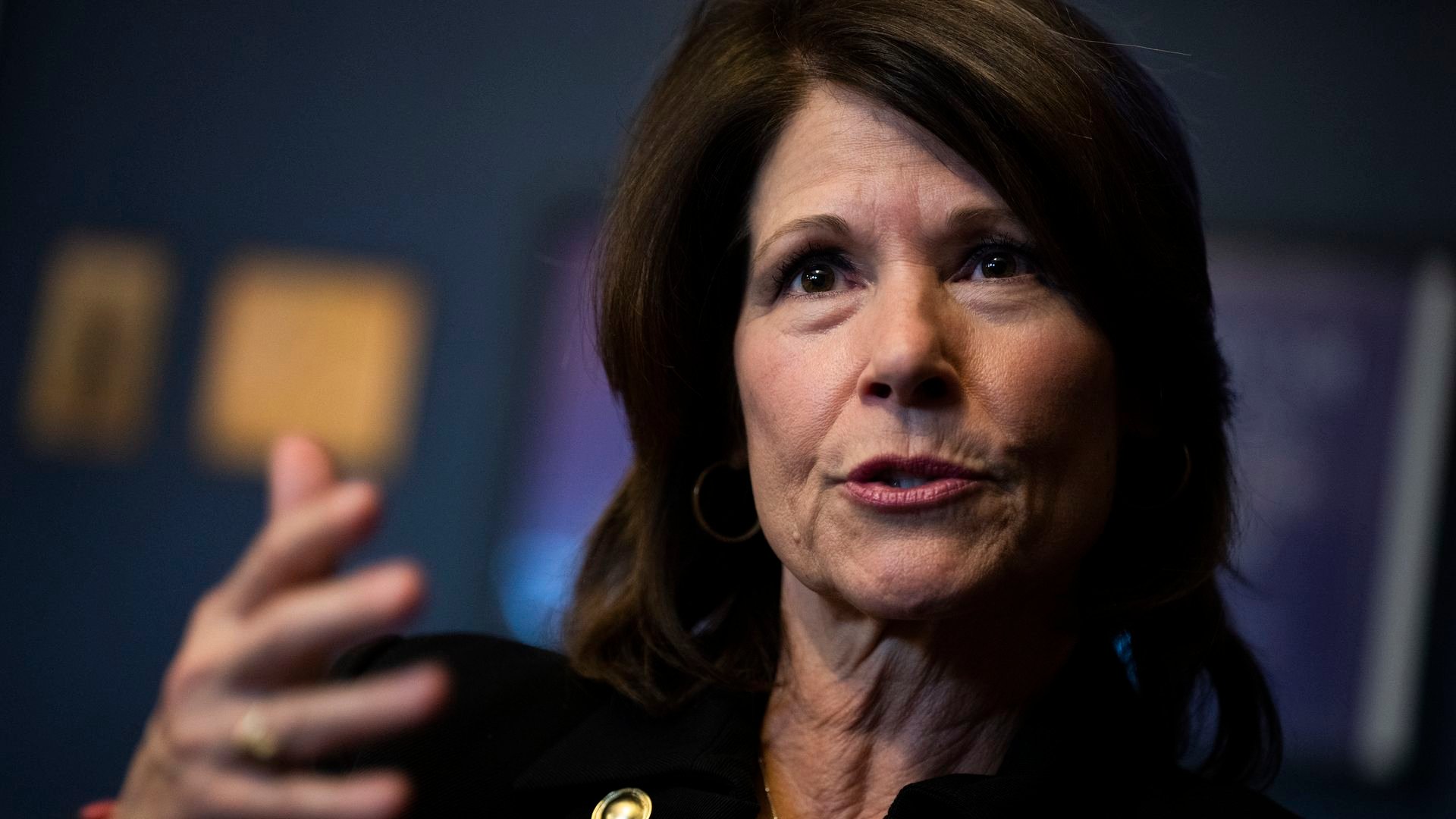 Former Rep. Cheri Bustos