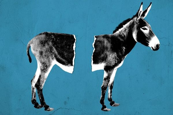 Centrist Democrats Launch '28 Mission: Stop AOC