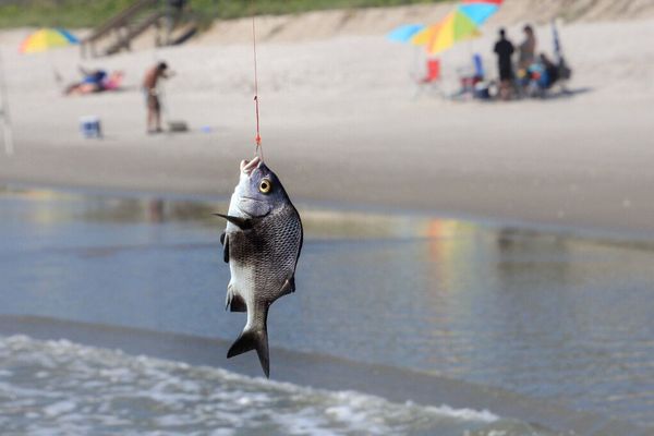 ChatGPT Prompt Injection Turns Web Pages Into Phishing Lures (ChatGPhish)