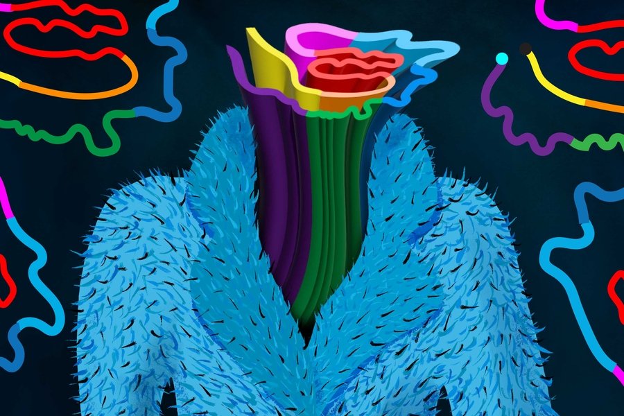 A rainbow-colored Tau, like a cylinder, wears a cartoony fur coat.