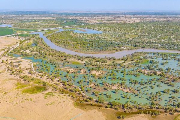 China's Great Green Wall Turns Taklamakan Desert into Carbon Sink