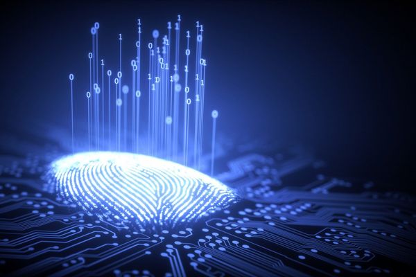 Shared Chip Fingerprints Enable Direct Authentication Without Server Reliance