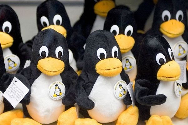 CISA Adds Actively Exploited 'Copy Fail' Linux Kernel Vulnerability to Emergency Catalog