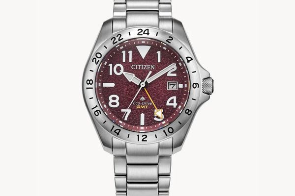 Citizen Promaster Land GMT Review: A 200m-Rated Field Watch With a Burgundy Twist