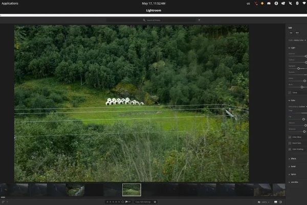 Claude Code Powers Adobe Lightroom CC on Linux – Benchmarks, Power Use, and Build Tips