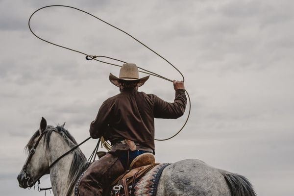 Commvault's AI Protect offers Ctrl+Z for rogue AI agents in cloud environments