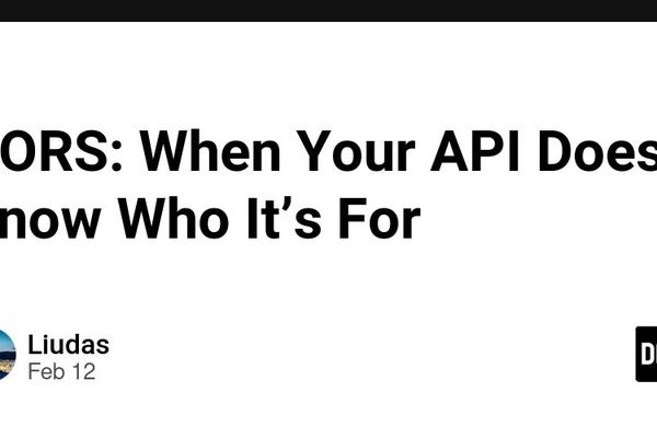 CORS: When Your API Doesn't Know Who It's For
