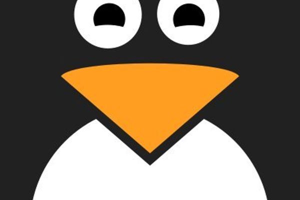 Court Rules GPLv2 Does Not Mandate Hardware Access, Backing Torvalds' Longstanding Position