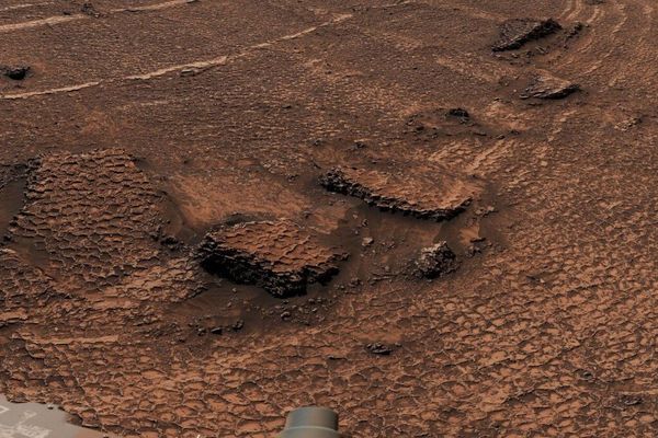 Curiosity rover spots field of giant honeycomb on Mars, but no giant space bees