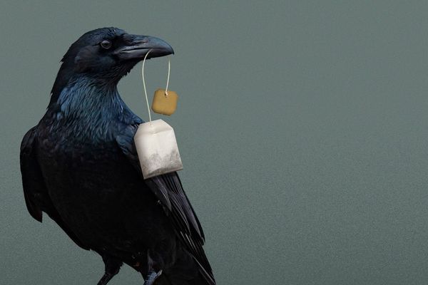 Death Cafe: Why strangers are talking about dying over tea