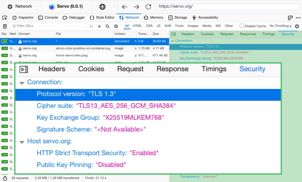 this website in Servo’s devtools, showing that the main request used TLS 1.3, TLS13_AES_256_GCM_SHA384 cipher suite, and X25519MLKEM768 key exchange, with HSTS enabled and HPKP disabled