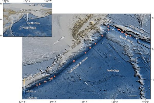 Deepest Ecosystem Ever Found: Chemosynthetic Communities Thrive in Hadal Trenches, Rewriting Carbon Cycle Models