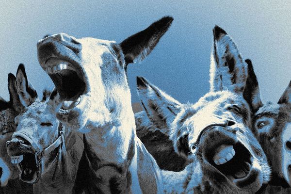 Democratic Party Civil War: $64 Million Spending Battle Reveals Deep Internal Fractures