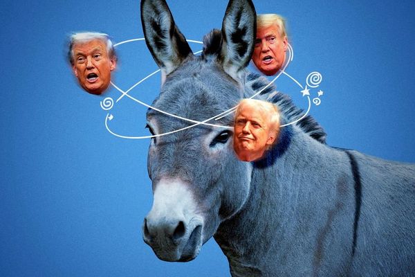 Democrats face a post-Trump identity crisis for 2028