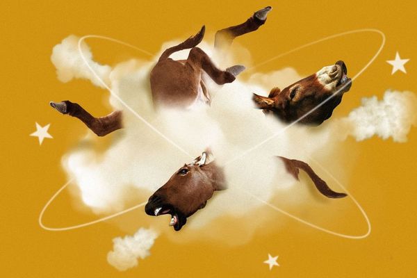 Democrats Launch Bidding War for 2028 Convention Hosting Rights