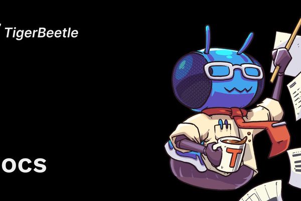 Designing Money as a Type System: How TigerBeetle Teaches Developers Real Accounting