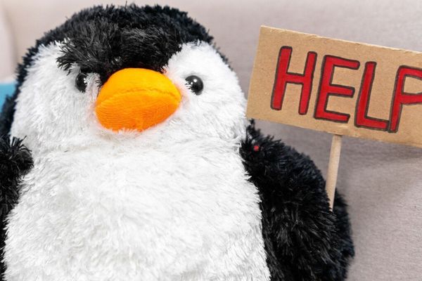 'Dirty Frag' Linux flaw one-ups CopyFail with no patches and public root exploit