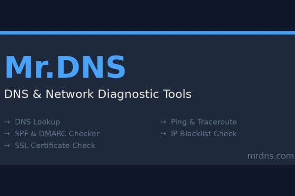 Mr.DNS: A Comprehensive Suite of Free DNS and Network Diagnostic Tools