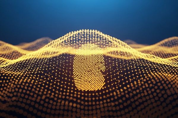 Does Trust Require Legitimacy? The Hidden Debt in Digital Platforms