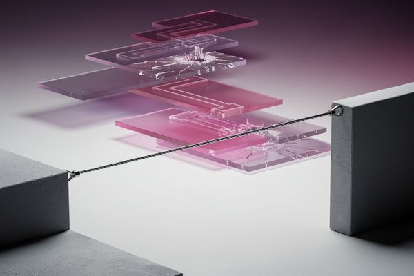 Don't Trip[wire] Yourself: Testing Error Recovery in Zig