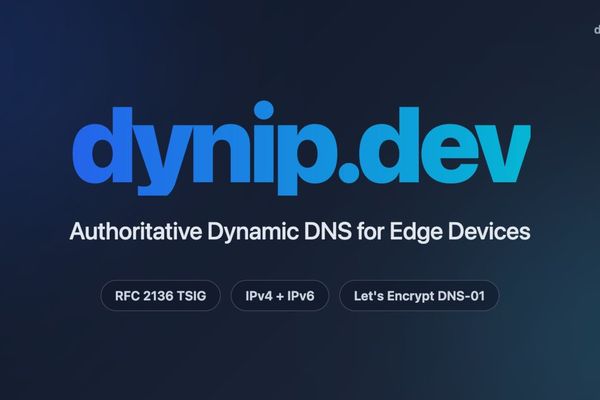 DynIP – A Pragmatic Dynamic DNS Service for Homelabs and Edge Networks