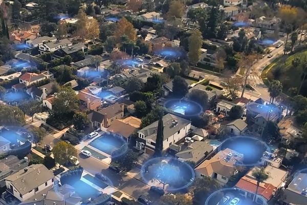 Ring's 'Search Party' for lost dogs sparks dystopian privacy backlash amid ICE protests