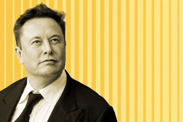 Musk-Backed Medicaid Data Release Targets $100B Fraud Problem