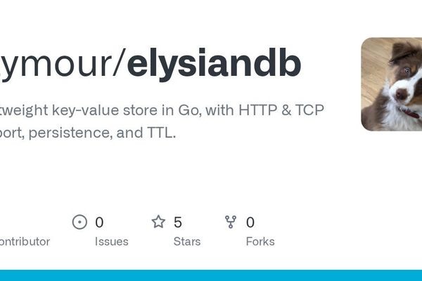 ElysianDB: The Lightweight Go-Powered Key-Value Store Challenging Performance Benchmarks